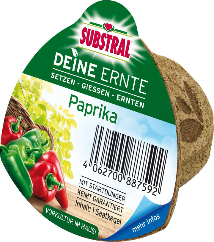SUBSTRAL Deine Ernte Saatkegel Paprika